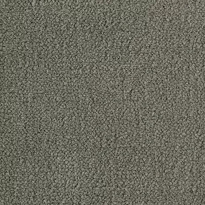 Color Study 36 BC575 - 12 ft Broadloom