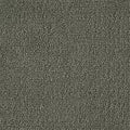 Color Study 36 BC575 - 12 ft Broadloom