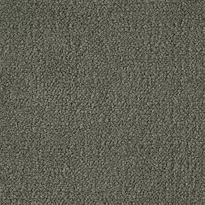 Color Study 36 BC575 - 12 ft Broadloom
