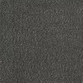 Color Study 36 BC575 - 12 ft Broadloom