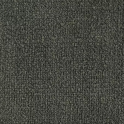 Color Study 36 BC575 - 12 ft Broadloom