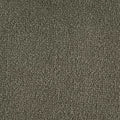 Color Study 36 BC575 - 12 ft Broadloom