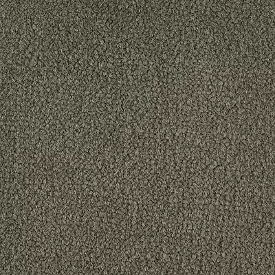 Color Study 36 BC575 - 12 ft Broadloom