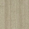Columns II BC602 - 12 ft Broadloom