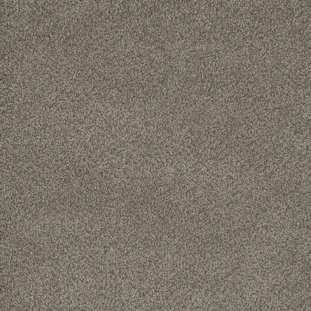 MONTE CARLO III