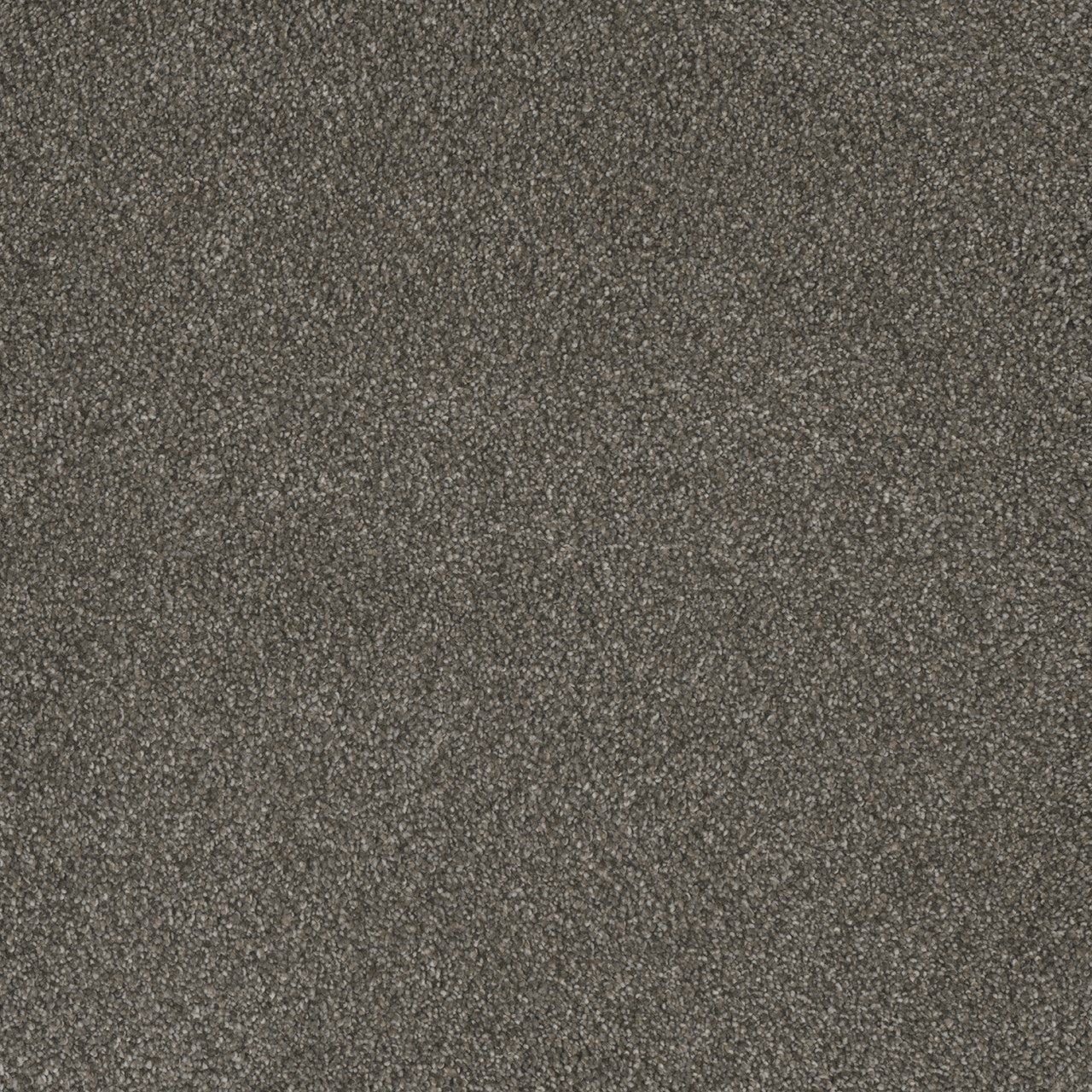 MONTE CARLO III