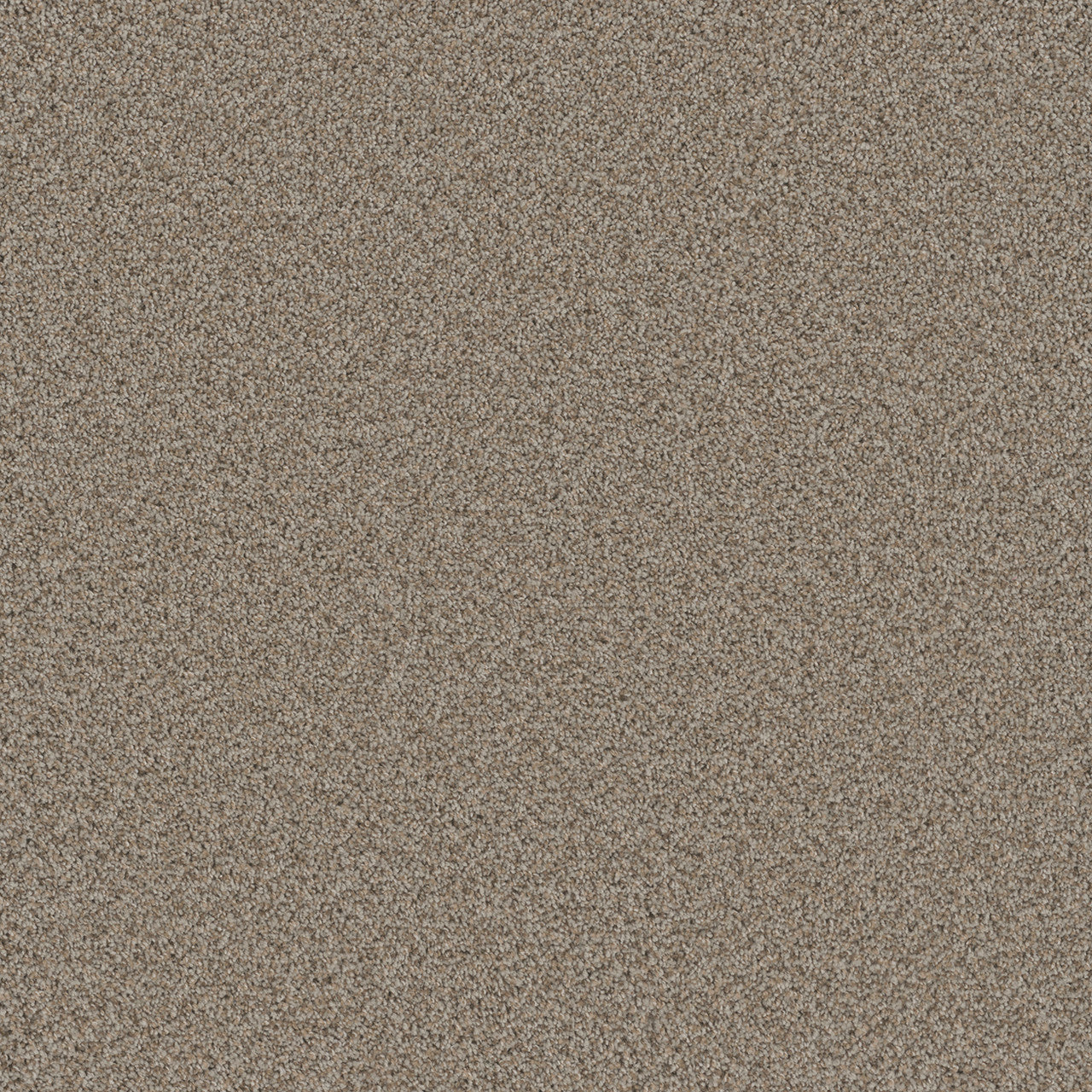 COSMOPOLITAN II