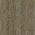 Digital Terrain GT341 - 12 in x 36 in Carpet Tile