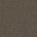Color Balance GT405 - 12 in x 36 in Carpet Tile