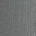 Biome GT456 - 12 in x 36 in Carpet Tile