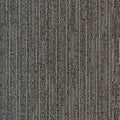 Biome GT456 - 12 in x 36 in Carpet Tile