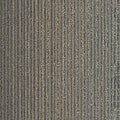 Biome GT456 - 12 in x 36 in Carpet Tile