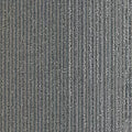 Biome GT456 - 12 in x 36 in Carpet Tile