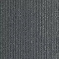 Biome GT456 - 12 in x 36 in Carpet Tile