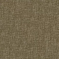 Social Identity BC572 - 12 ft Broadloom