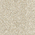 PetPremier|Canine Chic  Add to Favorites