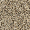 SmartStrand|Exhilarating