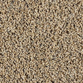 SmartStrand|Exhilarating