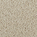 EverStrand|Classic Fit II