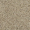 EverStrand|Classic Fit II