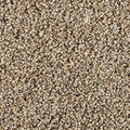 EverStrand|Assorted Elements I