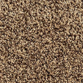 EverStrand|Assorted Elements I