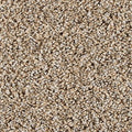 EverStrand|Assorted Elements I