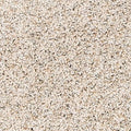 PetPremier|Paw Pathway