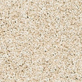 PetPremier|Paw Pathway