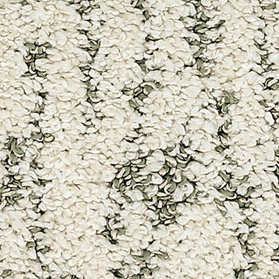 PetPremier|Bark And Roll  Add to Favorites