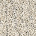 PetPremier|Bark And Roll  Add to Favorites