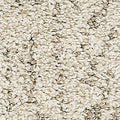 PetPremier|Bark And Roll  Add to Favorites