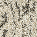 PetPremier|Bark And Roll  Add to Favorites