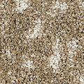 PetPremier|Bark And Roll  Add to Favorites