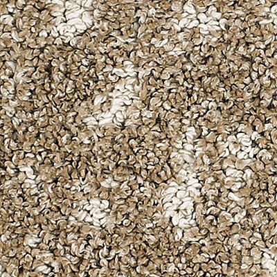 PetPremier|Bark And Roll  Add to Favorites