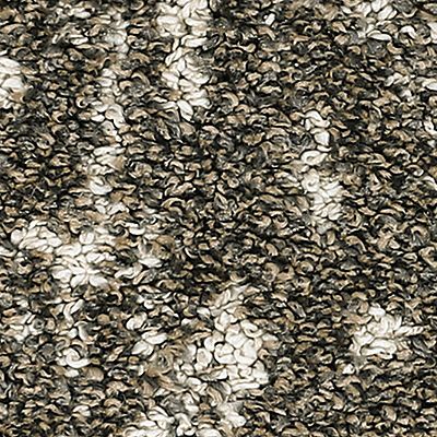 PetPremier|Bark And Roll  Add to Favorites