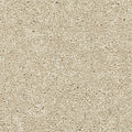 EverStrand|Modern Story III  Add to Favorites