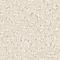 SmartStrand|Graceful Manner  Add to Favorites