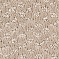 SmartStrand|Graceful Manner  Add to Favorites