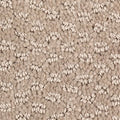 SmartStrand|Graceful Manner  Add to Favorites