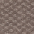 SmartStrand|Graceful Manner  Add to Favorites