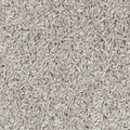 SmartStrand|Classic Voice
