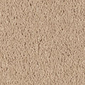 SmartStrand Silk|Natural Splendor I  Add to Favorites
