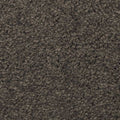 SmartStrand Silk|Natural Splendor II  Add to Favorites