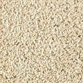SmartStrand Silk|Stonington Manor II  Add to Favorites