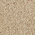 SmartStrand Silk|Stonington Manor II  Add to Favorites