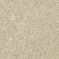 SmartStrand Silk|Stonington Manor II  Add to Favorites