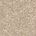 EverStrand|Bold Creation