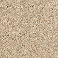 EverStrand|Bold Creation