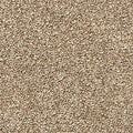 EverStrand|Bold Creation